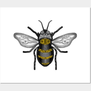 Bumble Bee Posters and Art